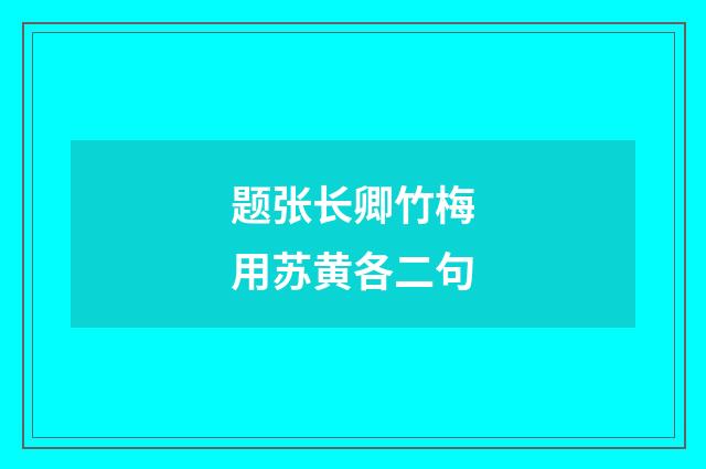 题张长卿竹梅用苏黄各二句