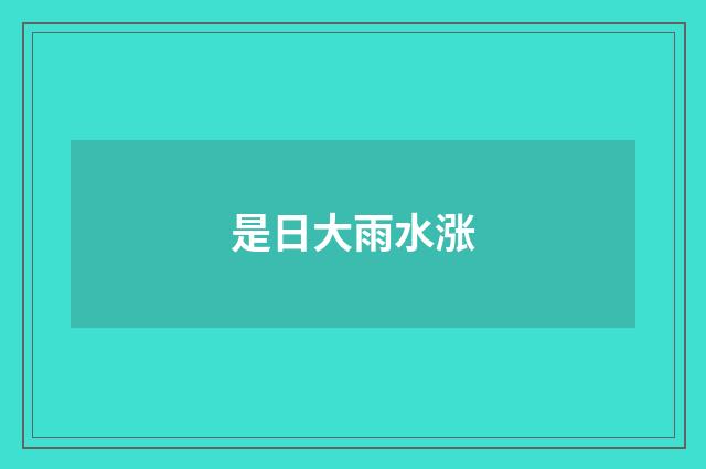 是日大雨水涨