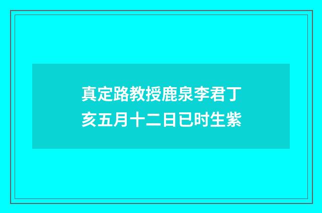 真定路教授鹿泉李君丁亥五月十二日已时生紫