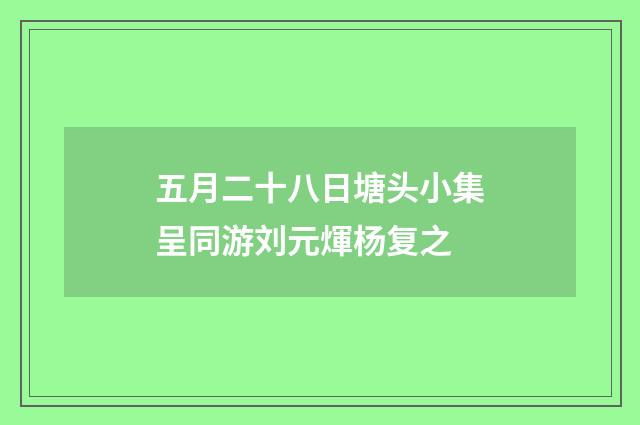 五月二十八日塘头小集呈同游刘元煇杨复之