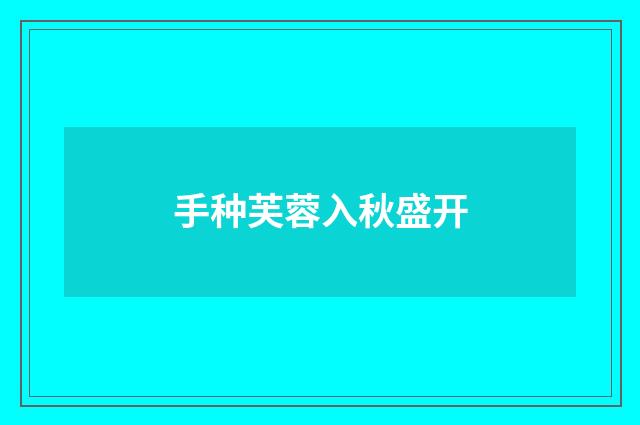 手种芙蓉入秋盛开