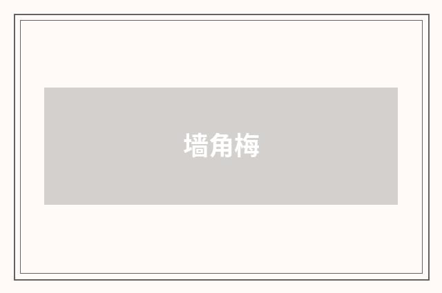 墙角梅