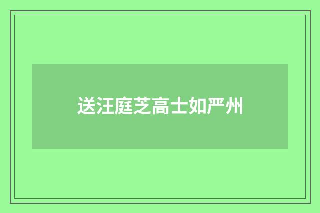 送汪庭芝高士如严州