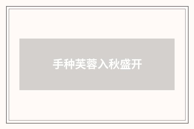 手种芙蓉入秋盛开