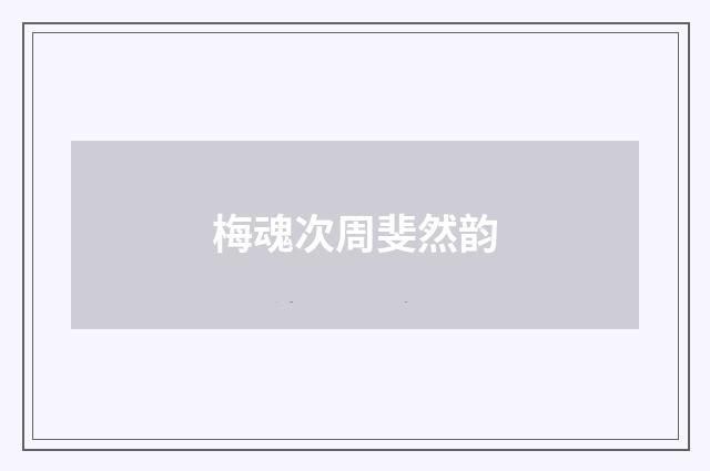 梅魂次周斐然韵