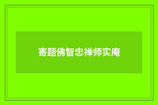 寄题佛智忠禅师实庵