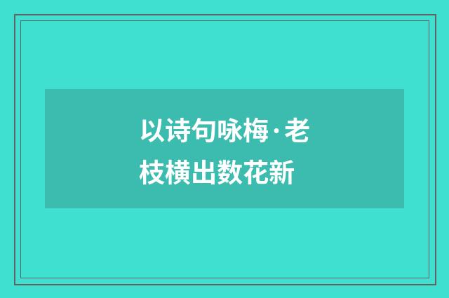 以诗句咏梅·老枝横出数花新