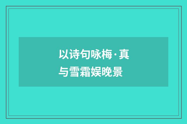 以诗句咏梅·真与雪霜娱晚景