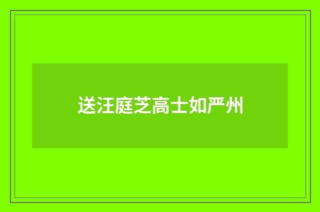 送汪庭芝高士如严州