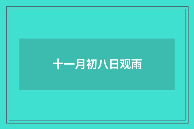 十一月初八日观雨
