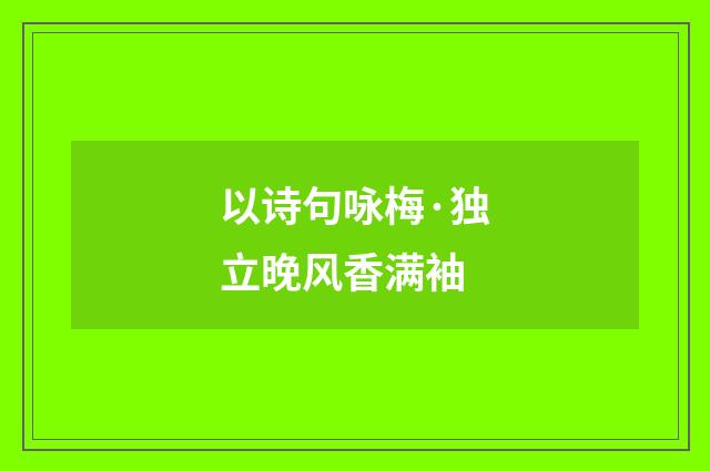 以诗句咏梅·独立晚风香满袖
