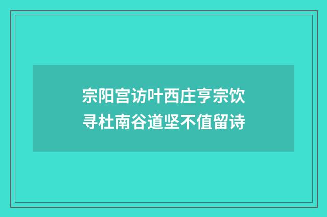 宗阳宫访叶西庄亨宗饮寻杜南谷道坚不值留诗