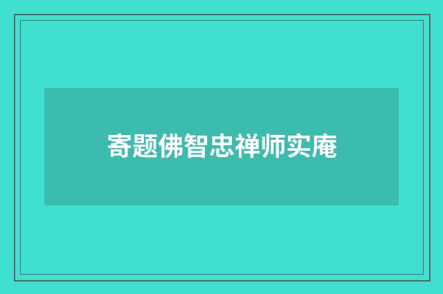 寄题佛智忠禅师实庵