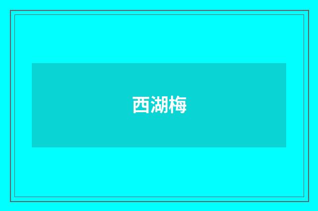 西湖梅