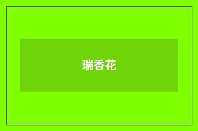 瑞香花