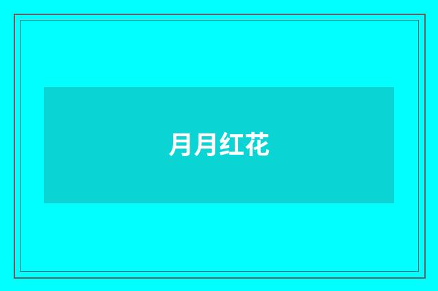 月月红花
