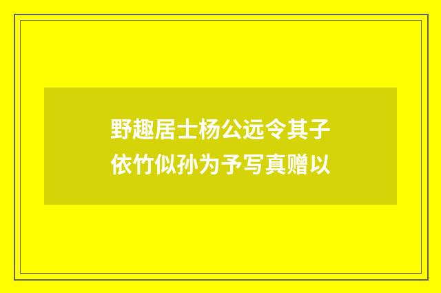 野趣居士杨公远令其子依竹似孙为予写真赠以