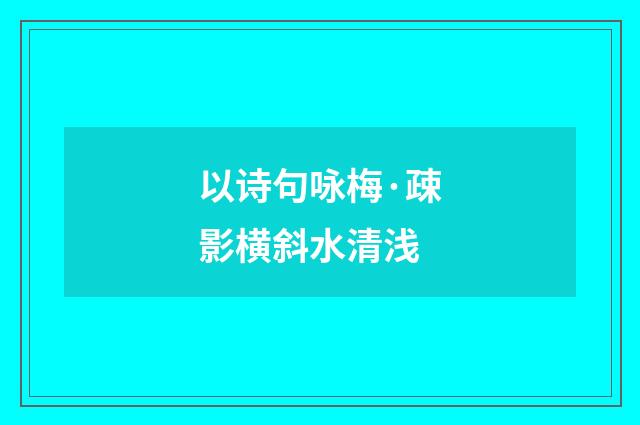 以诗句咏梅·疎影横斜水清浅