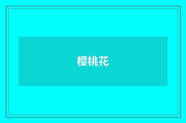 樱桃花