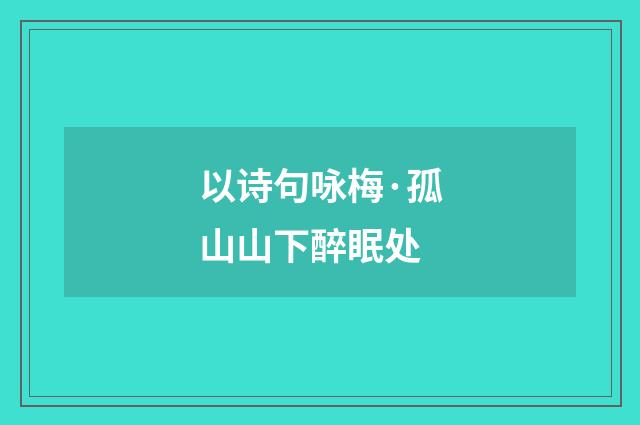 以诗句咏梅·孤山山下醉眠处