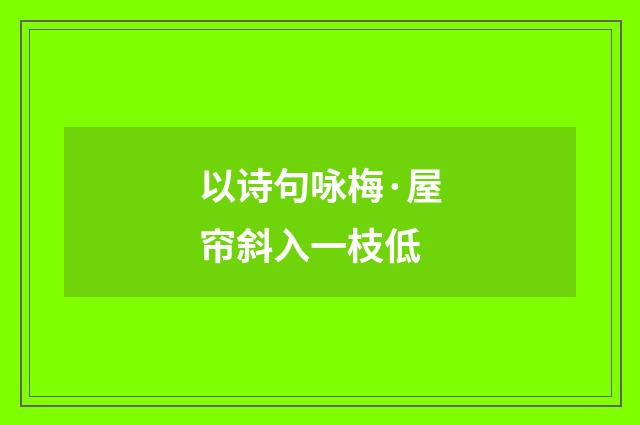 以诗句咏梅·屋帘斜入一枝低