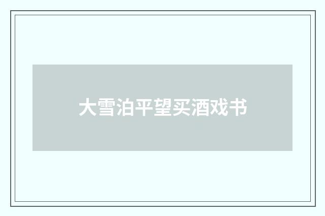 大雪泊平望买酒戏书