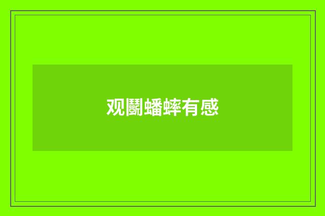 观鬭蟠蟀有感