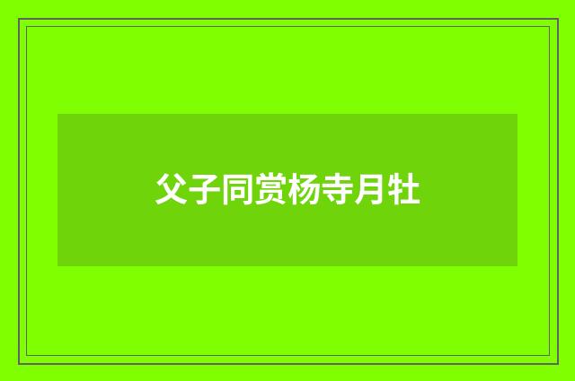 父子同赏杨寺月牡