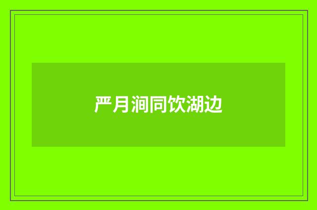 严月涧同饮湖边