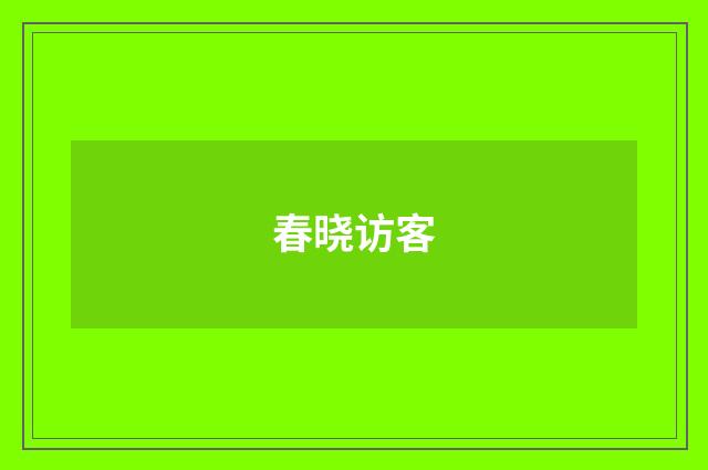 春晓访客