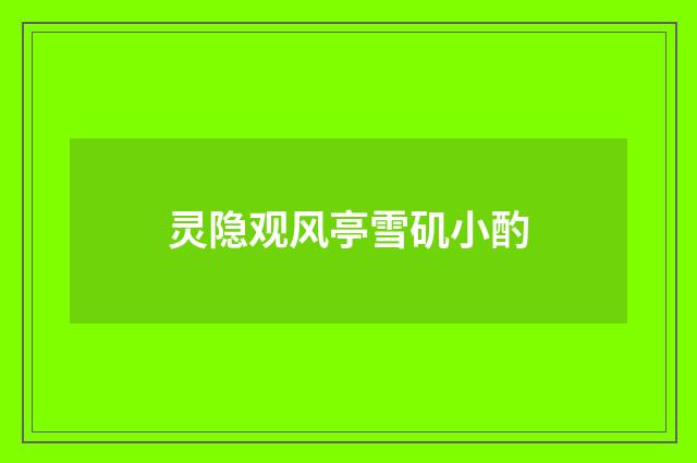 灵隐观风亭雪矶小酌