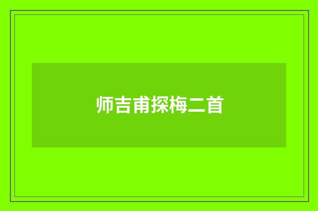师吉甫探梅二首