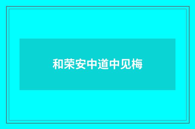 和荣安中道中见梅