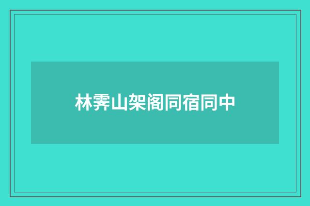 林霁山架阁同宿同中