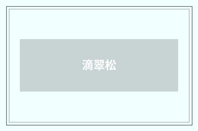 滴翠松