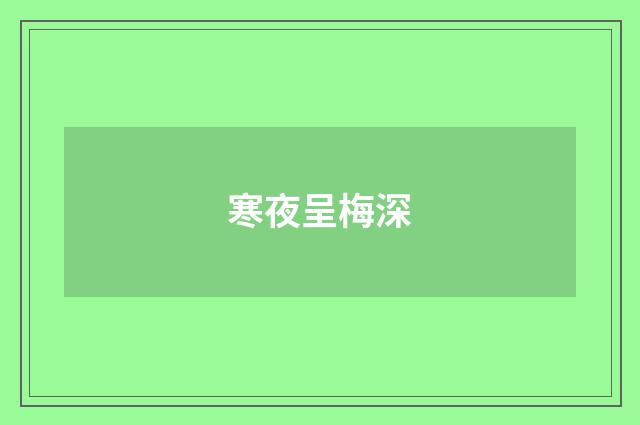 寒夜呈梅深