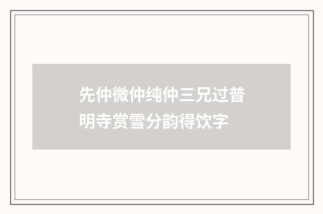 先仲微仲纯仲三兄过普明寺赏雪分韵得饮字