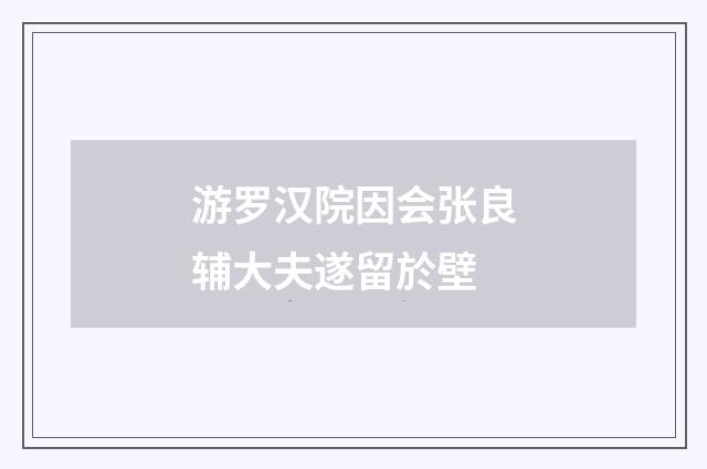 游罗汉院因会张良辅大夫遂留於壁