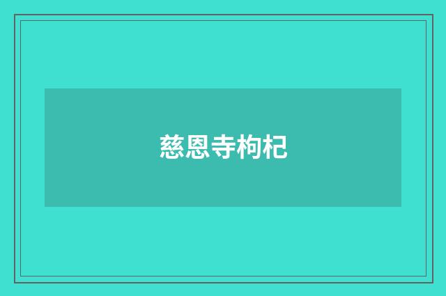 慈恩寺枸杞