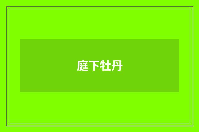 庭下牡丹