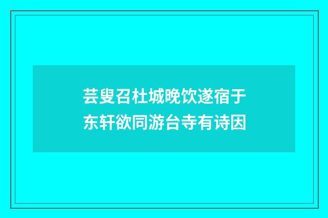 芸叟召杜城晚饮遂宿于东轩欲同游台寺有诗因