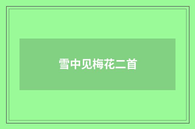 雪中见梅花二首