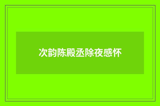 次韵陈殿丞除夜感怀