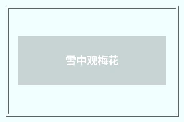 雪中观梅花