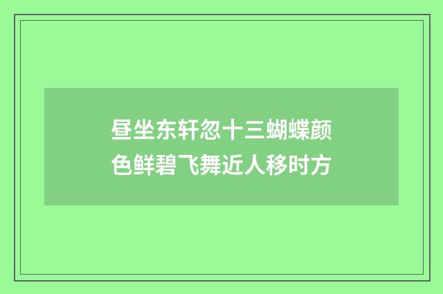 昼坐东轩忽十三蝴蝶颜色鲜碧飞舞近人移时方