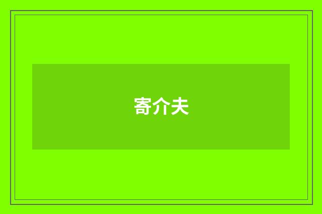 寄介夫
