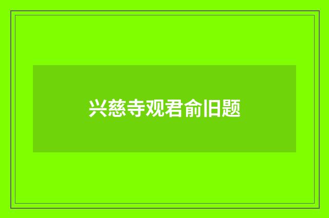 兴慈寺观君俞旧题