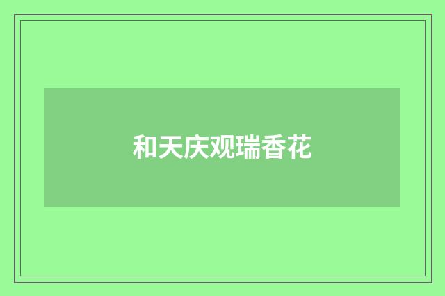 和天庆观瑞香花