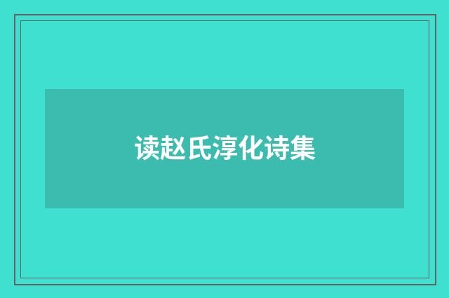 读赵氏淳化诗集