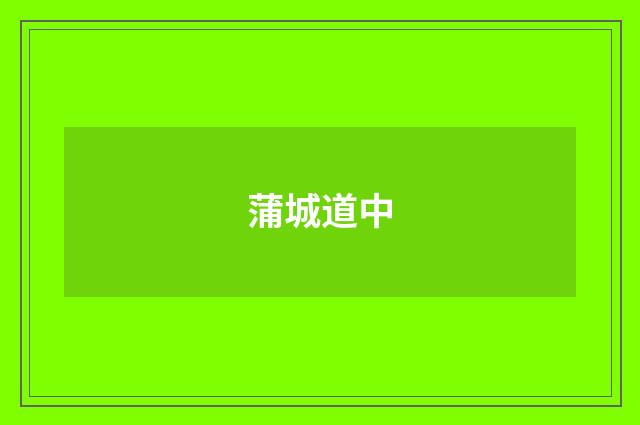 蒲城道中